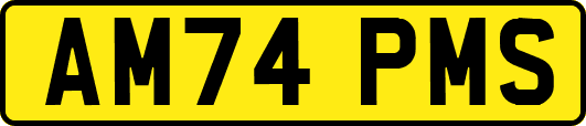 AM74PMS