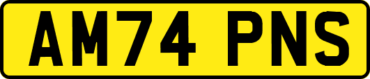 AM74PNS