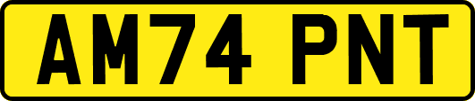 AM74PNT