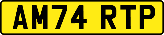 AM74RTP