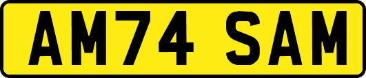 AM74SAM