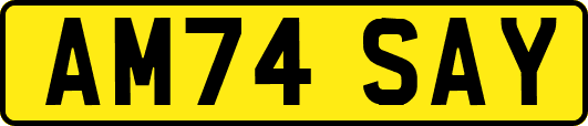 AM74SAY