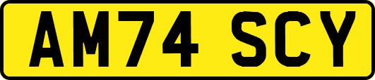 AM74SCY
