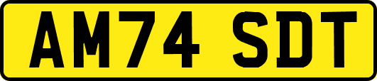 AM74SDT