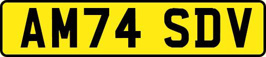 AM74SDV