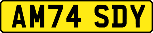 AM74SDY