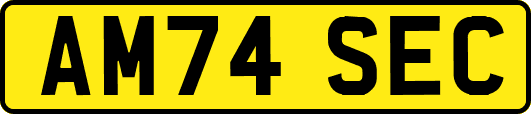 AM74SEC