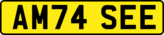 AM74SEE