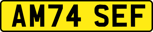 AM74SEF