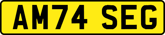 AM74SEG