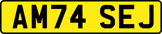AM74SEJ