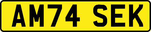 AM74SEK