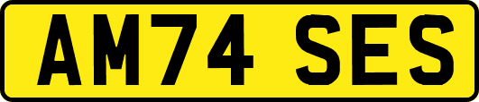 AM74SES