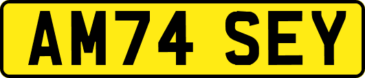 AM74SEY