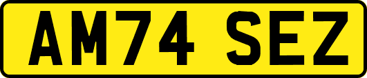 AM74SEZ