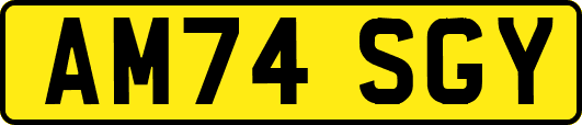 AM74SGY