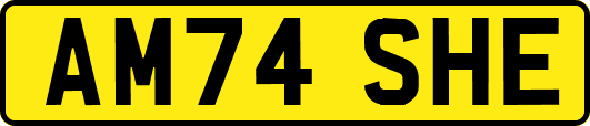 AM74SHE