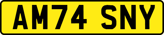 AM74SNY