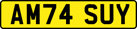 AM74SUY