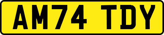 AM74TDY