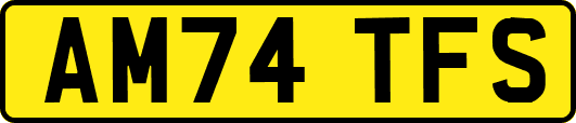 AM74TFS