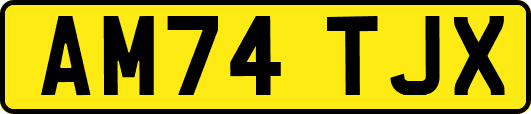 AM74TJX