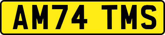 AM74TMS