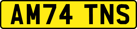 AM74TNS