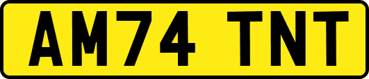 AM74TNT