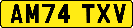 AM74TXV