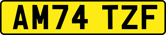 AM74TZF