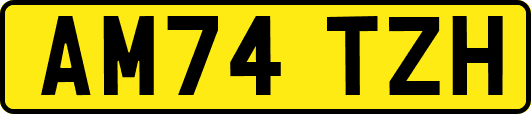 AM74TZH