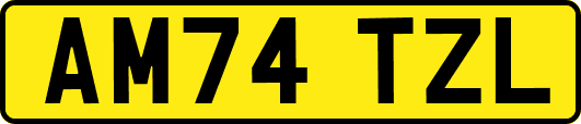AM74TZL