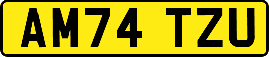 AM74TZU