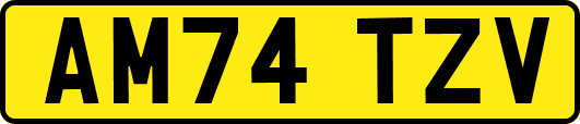 AM74TZV