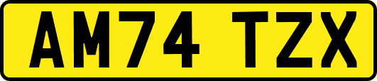 AM74TZX