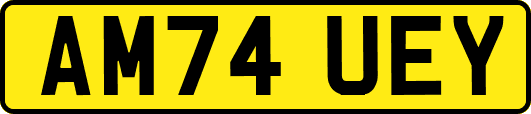 AM74UEY