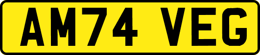 AM74VEG