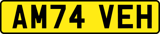 AM74VEH