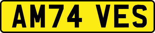 AM74VES