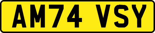AM74VSY