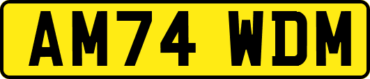 AM74WDM