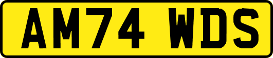 AM74WDS