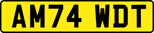 AM74WDT