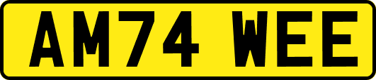 AM74WEE