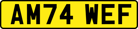 AM74WEF