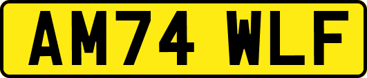 AM74WLF