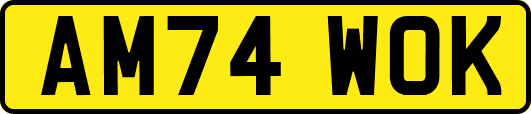 AM74WOK