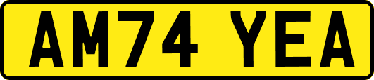 AM74YEA