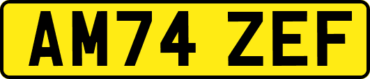 AM74ZEF